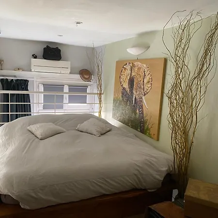 Apartment Loft De Standing